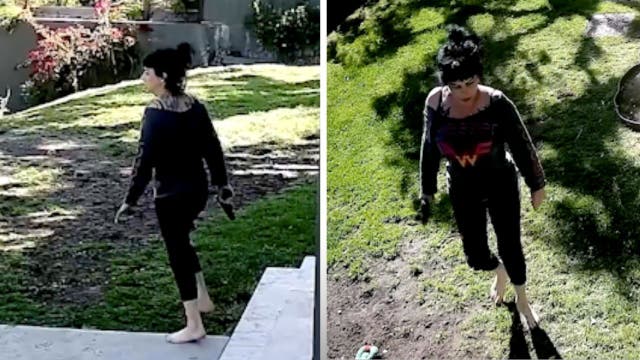 <p>Jillian Lauren is seen on video walking in her Los Angeles yard with a gun moments before officers shoot her.</p>