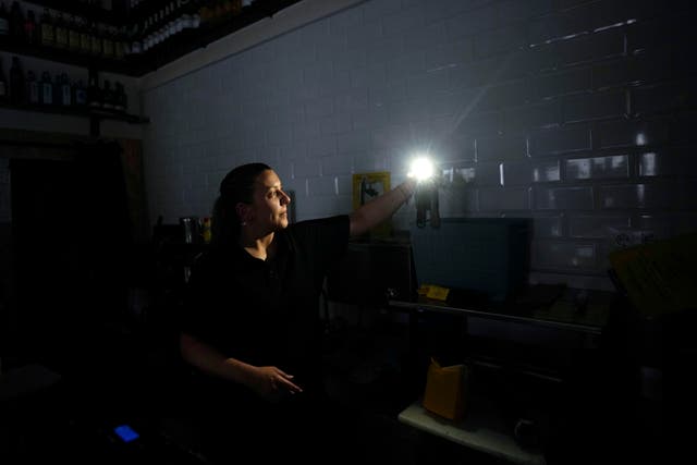 <p>A woman uses her mobile phone torch inside a store during a power outage</p>