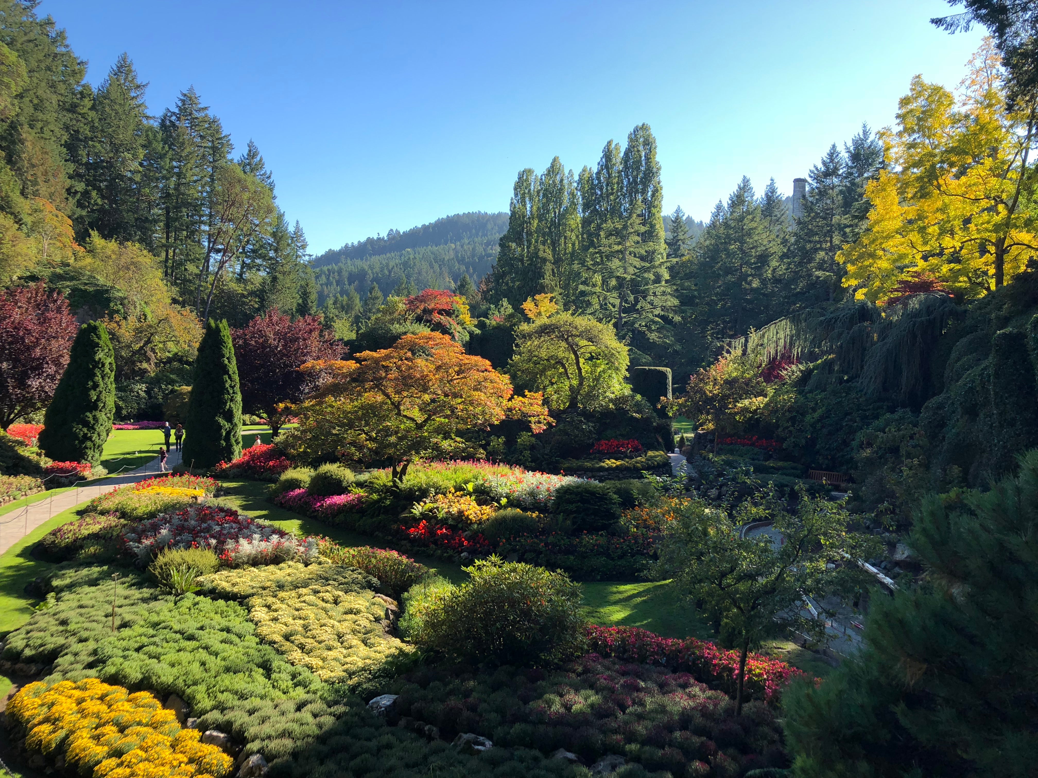 Victoria's Butchart Gardens – 55 acres of horticultural magnificence