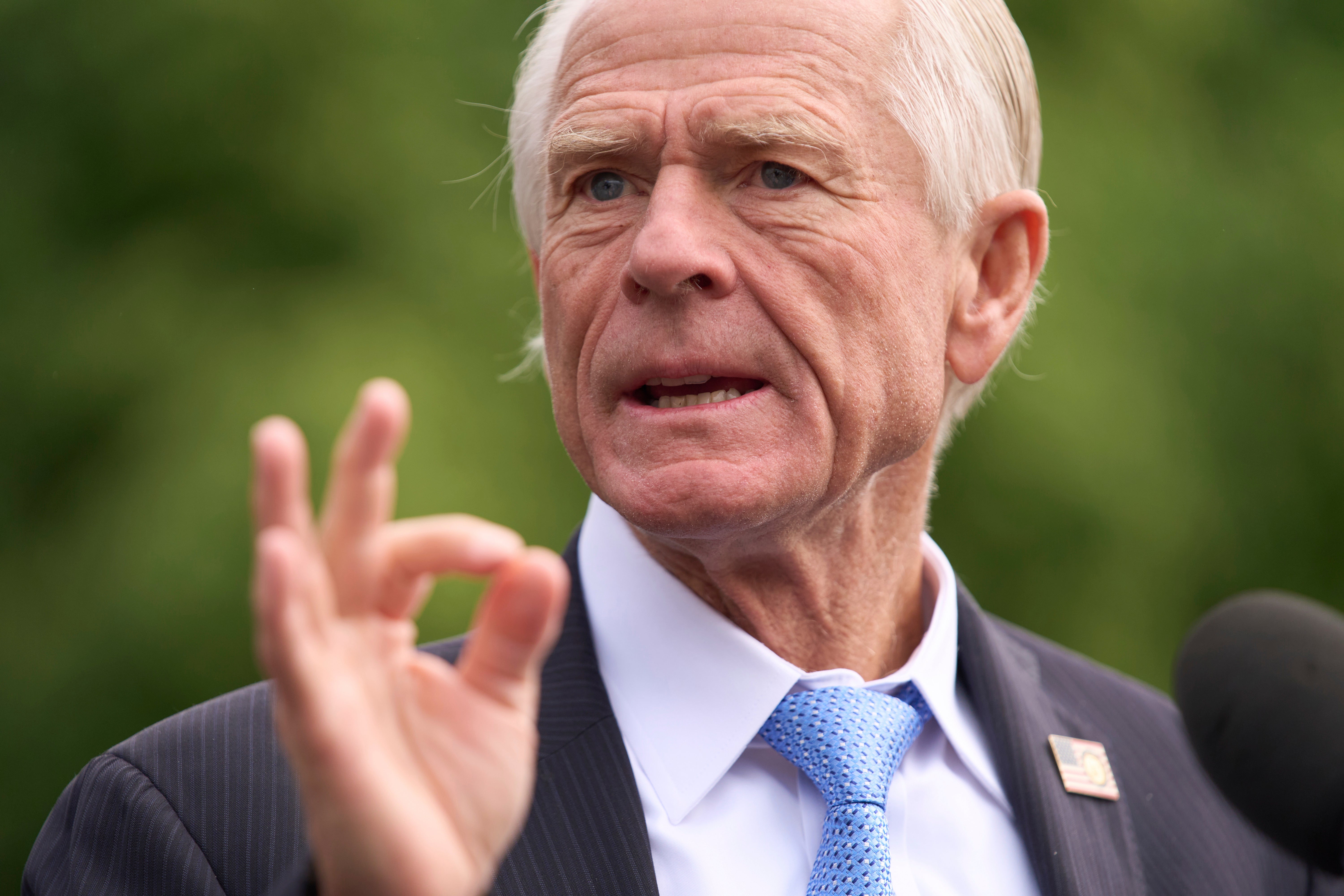 Peter Navarro said concerns over food hygiene was a ‘phony tool’