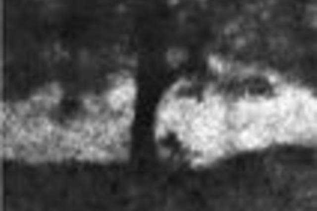 <p>A screengrab from footage showing the felling of the Sycamore Gap tree (Crown Prosecution Service/PA)</p>