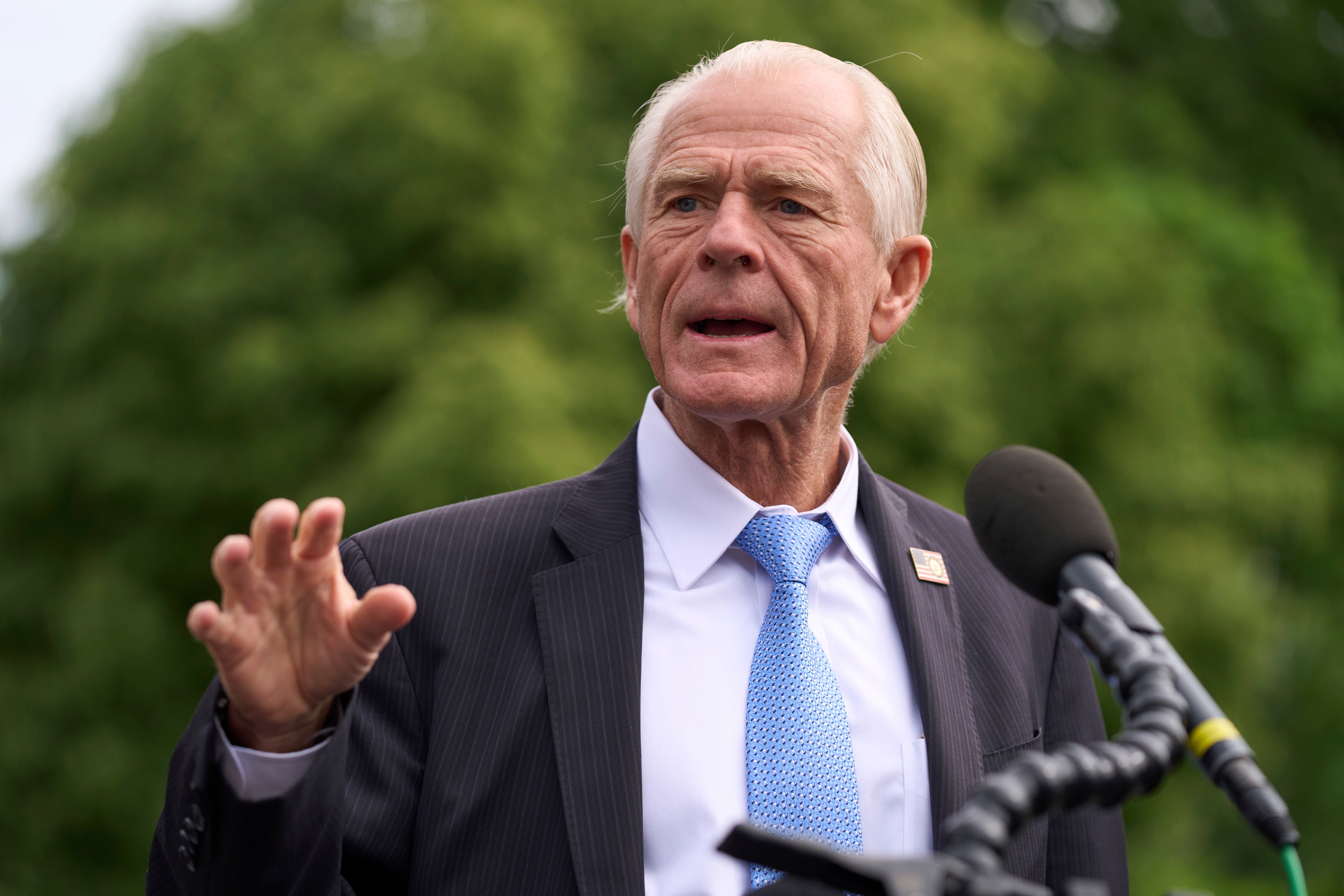 Peter Navarro
