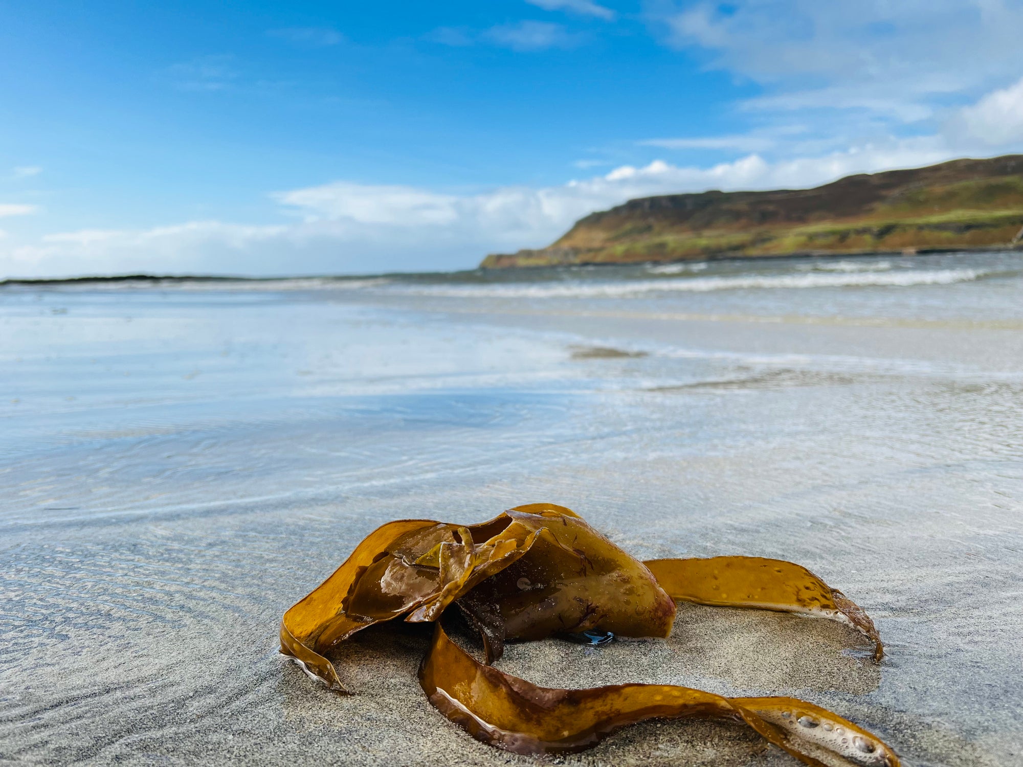 Calgary Bay in the north is the best-known beach on the island
