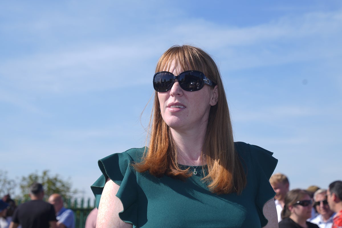 Rayner demanded right for Britons to stop working during heatwaves