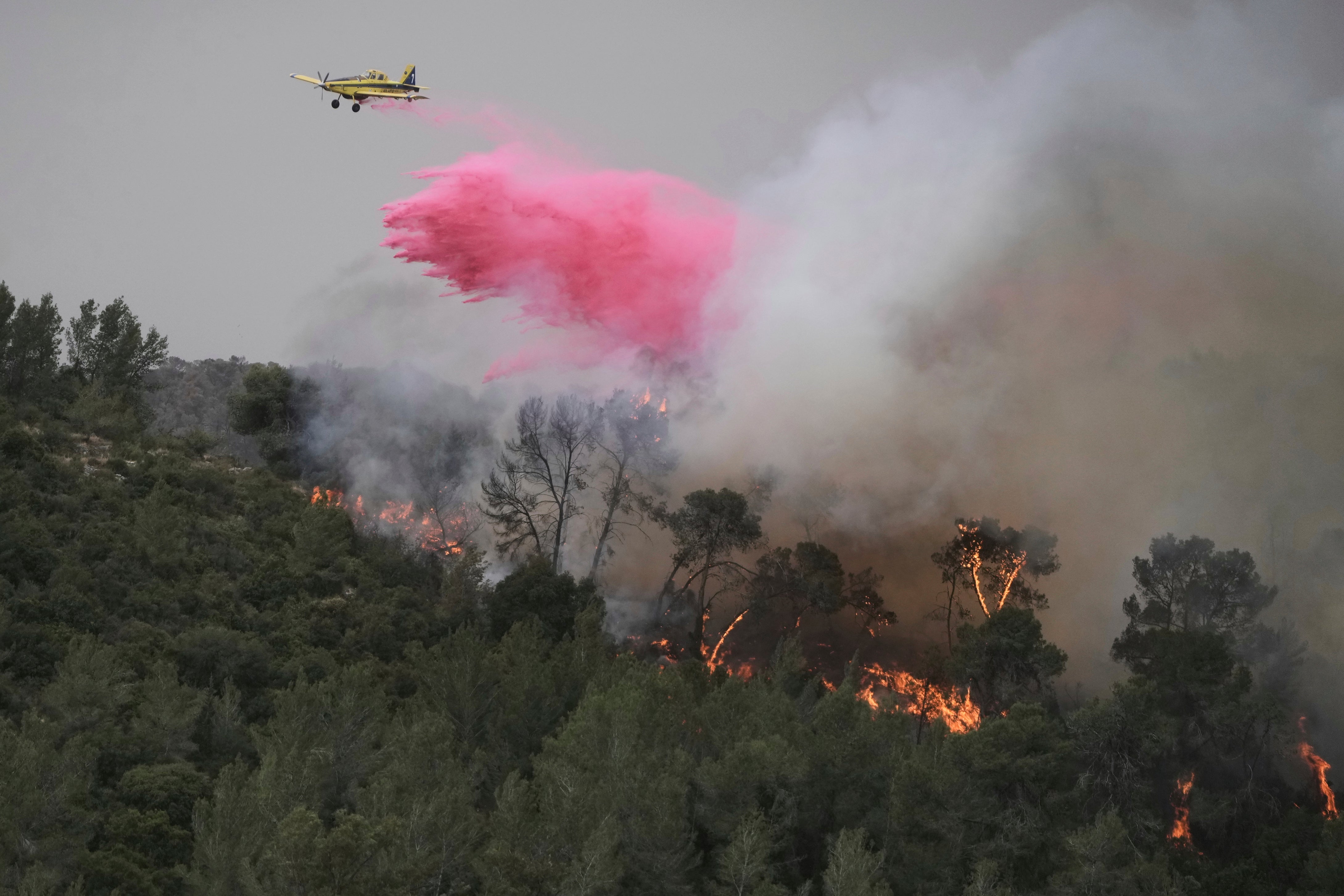 ISRAEL INCENDIOS FORESTALES