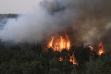 Israel wildfires send 12 people to the hospital and close key Tel Aviv-Jerusalem highway