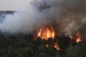 Israel declares national emergency over Jerusalem wildfires – Live