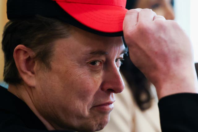 <p>Tesla CEO Elon Musk gestures while wearing a cap with the words ‘Gulf of America’ as he attends a cabinet meeting held by U.S. President Donald Trump at the White House in Washington, D.C., U.S., April 30, 2025</p>