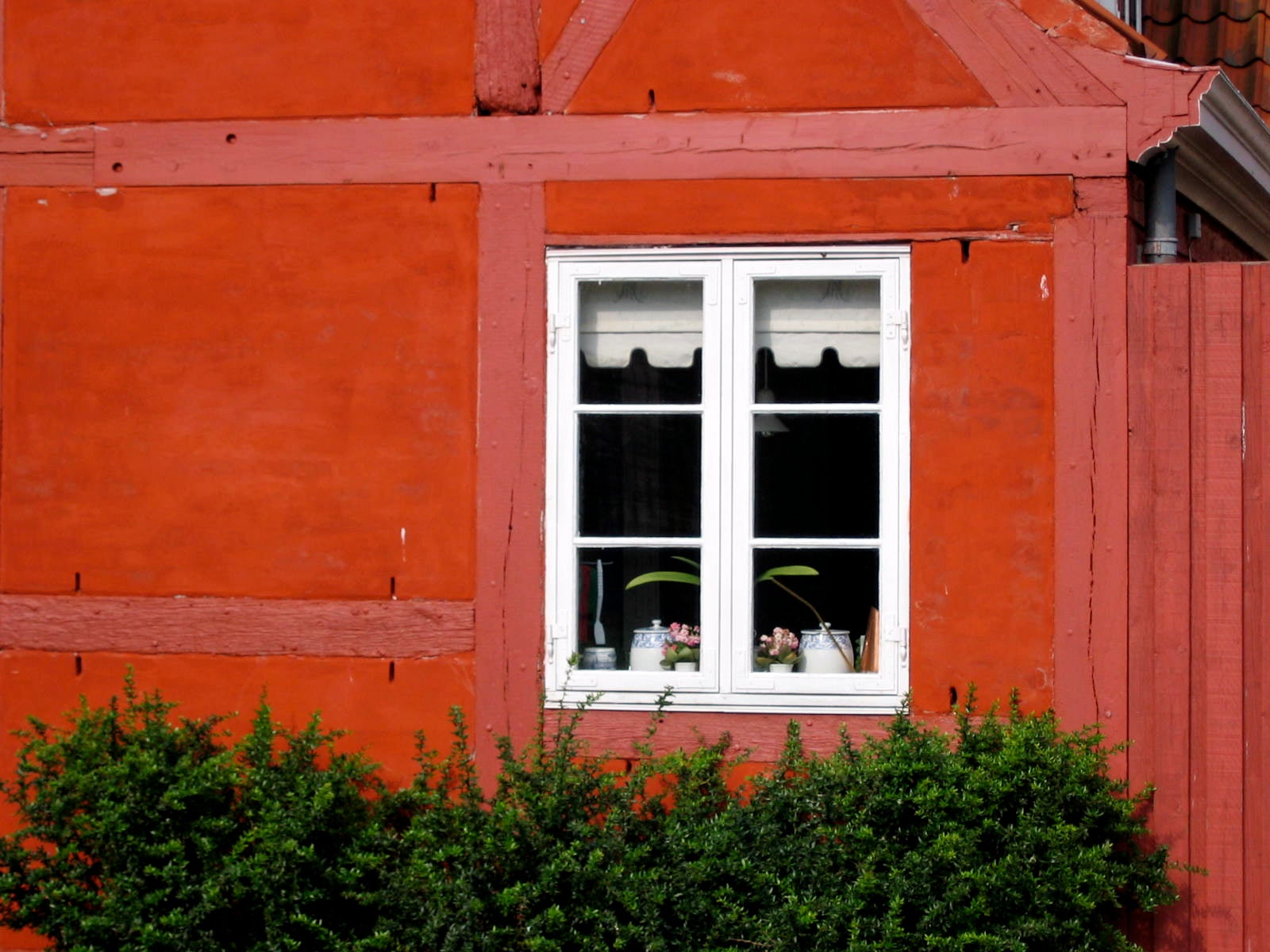 Casement windows open outwards and can come in pairs