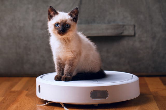<p>Scientists reprogrammed a Roomba to perform four new tasks, including playing with pets, in an effort to maximise the downtime of robot vacuums</p>