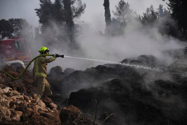 <p>An Israeli firefighter battles a wildfire near Latrun, 25km west of Jerusalem, on 1 May 2025</p>
