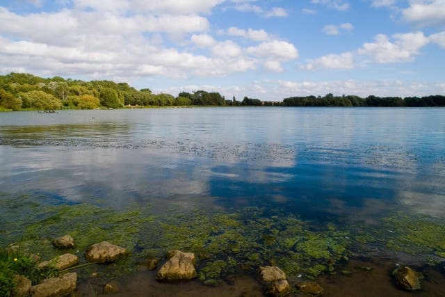 <p>The boy got into difficulty while swimming in Colwick Country Park in Nottingham</p>