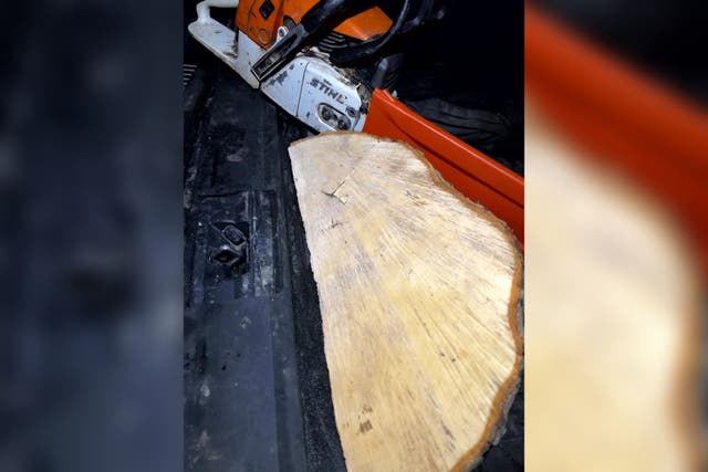 <p>A still from footage found on the phone of Daniel Graham of a chainsaw and wedge of a trunk allegedly filmed in the back of Graham’s car boot</p>