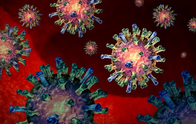 <p>A 3D illustration of the measles virus</p>