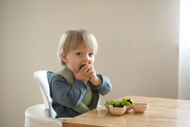 <p>The BBC found many baby food pouches lacked the nutritional benefits of whole foods</p>