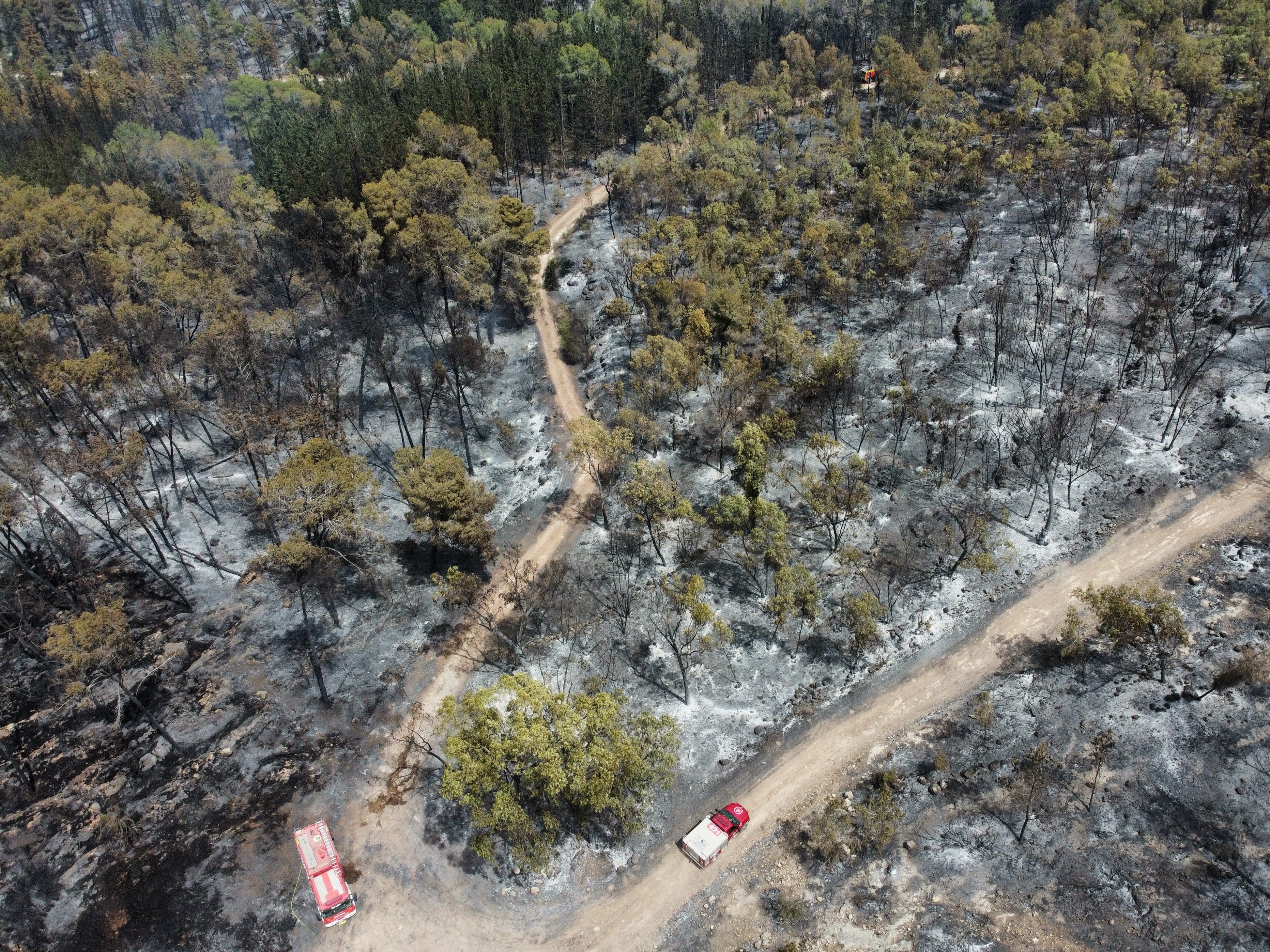 Firefighters work to extinguish a fire burning in the Latrun area in central Israel between Jerusalem and Tel Aviv