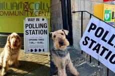 Dogs pose outside polling stations as owners urge voters to do ‘civic duty’