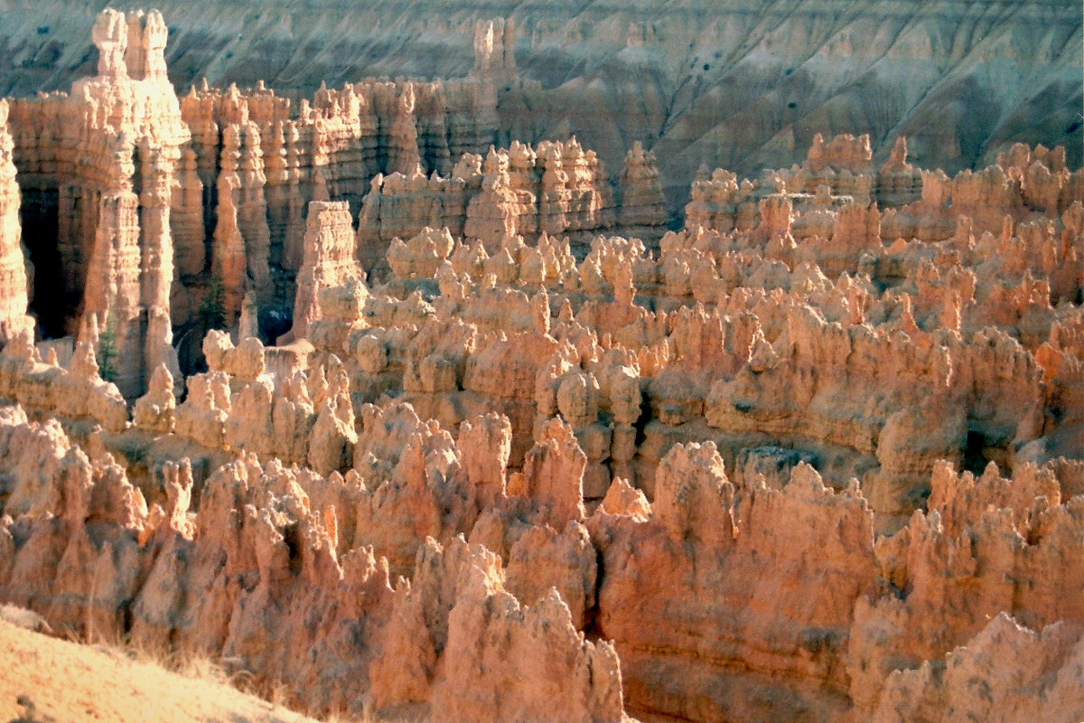 Two people dead but cat miraculously survives 380-ft fall at Utah national park