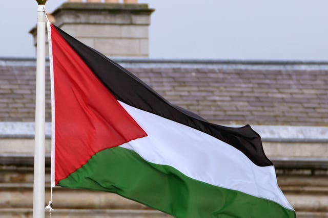 <p>The flag of Palestine (bottom) flying outside Leinster House, Dublin</p>