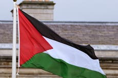 Palestine to raise flag at World Health Organization for first time after historic vote