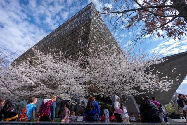 Smithsonian Black Museum Artifacts
