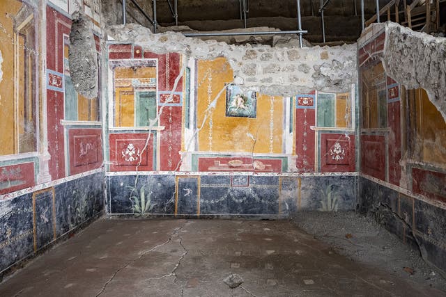 <p>A study into recent excavations at the archeology site has revealed the final moments of some of Pompeii’s residents.</p>