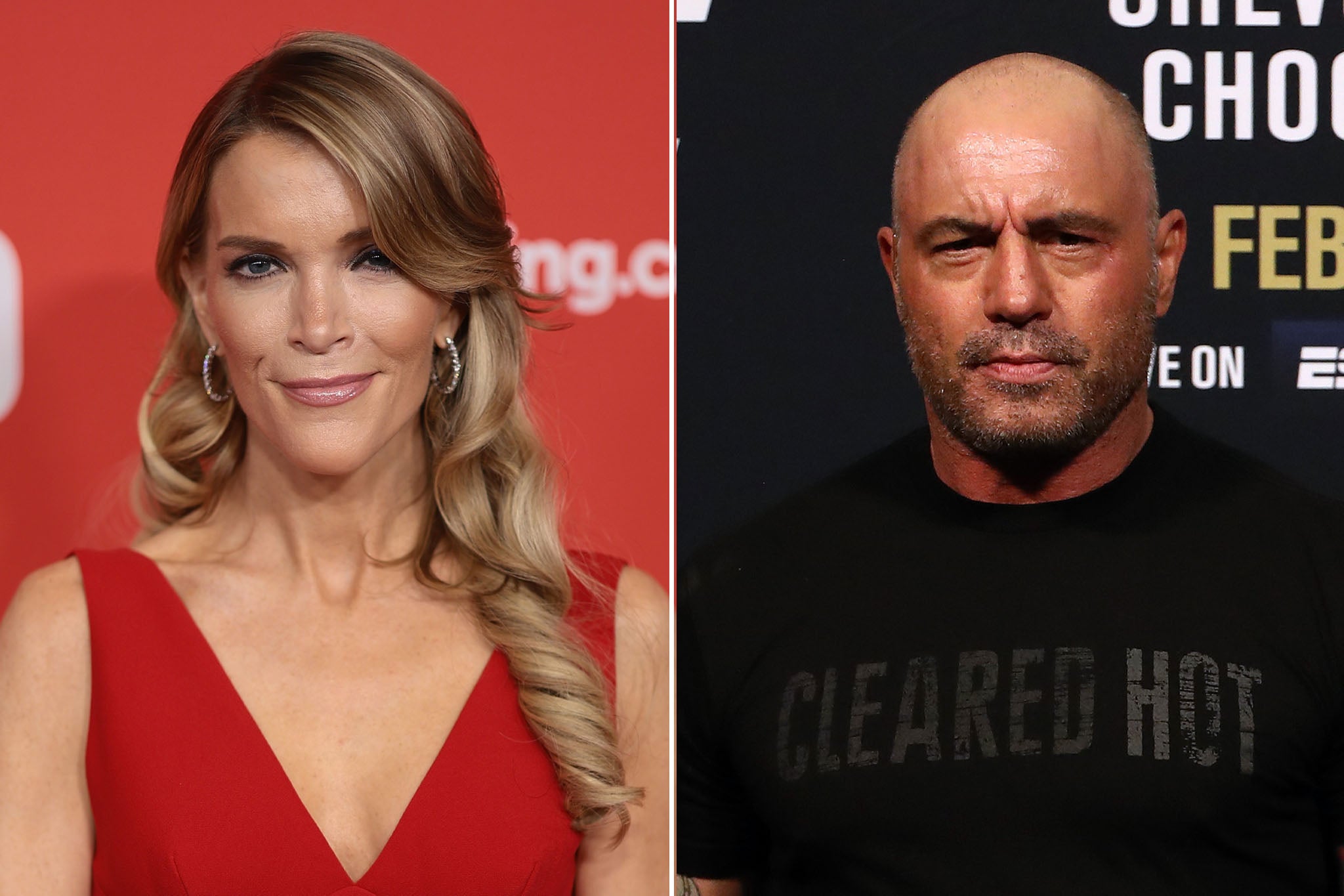 A new poll of Americans’ views on the media found that more respondents than not hold favorable views of both Megyn Kelly and Joe Rogan.