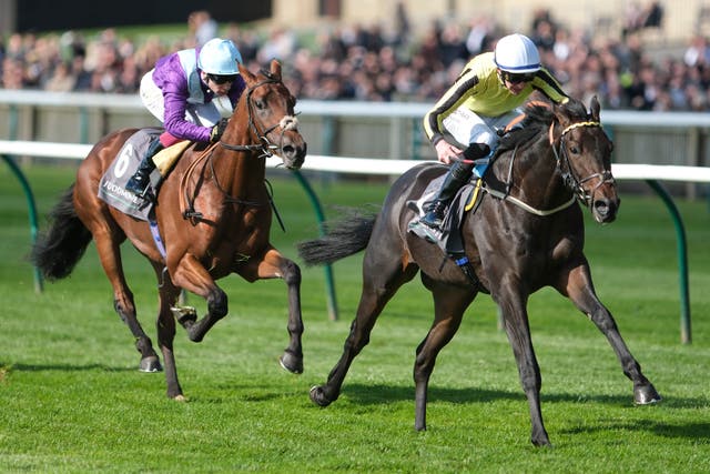 <p>Wimbledon Hawkeye has experience at the Rowley Mile</p>