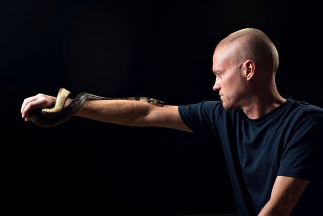 <p> Tim Friede, who is hyper-immune to the venom of various snakes, with a water cobra wrapped around his arm</p>