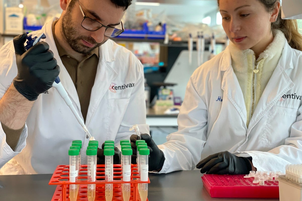 How one man’s blood could be key to a snake bite treatment