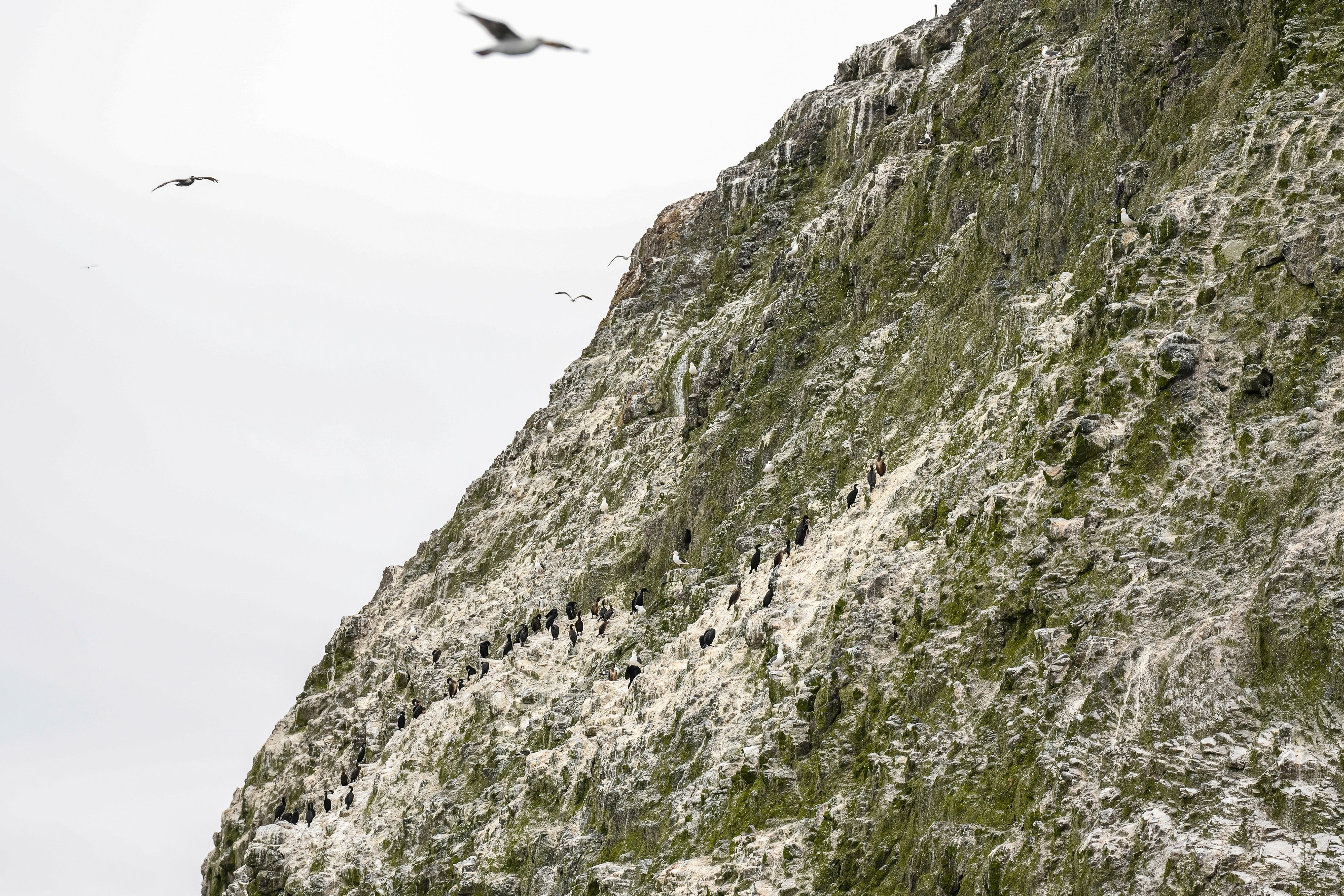 Climate Marine Protected Areas