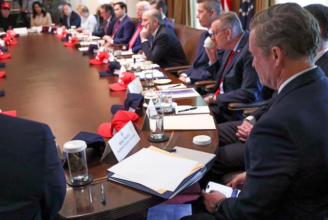 <p>Waltz checks his mobile phone while attending a cabinet meeting </p>