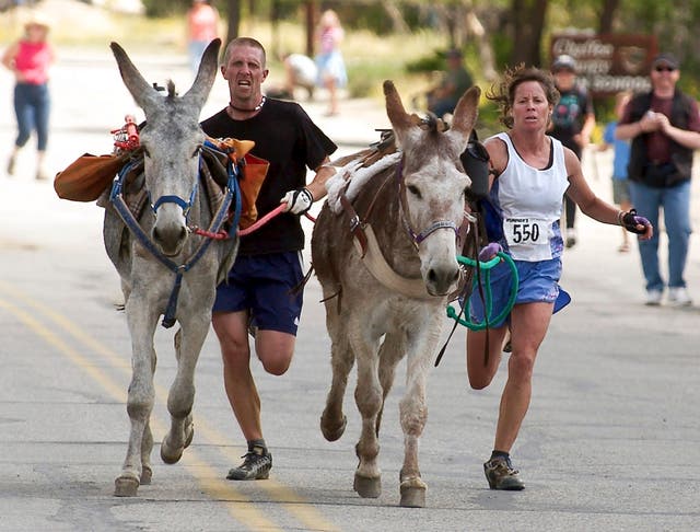 Burro Racing