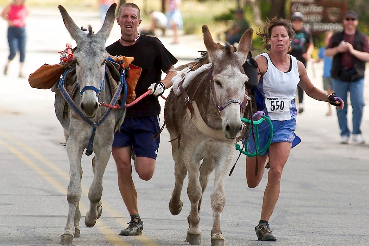 Backcountry runners embrace the thrill of racing with burros in New Mexico