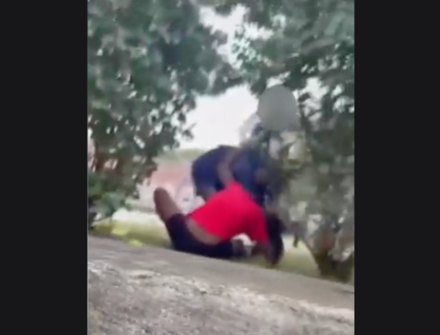 <p>US Postal worker caught on camera beating young girl in Ohio</p>