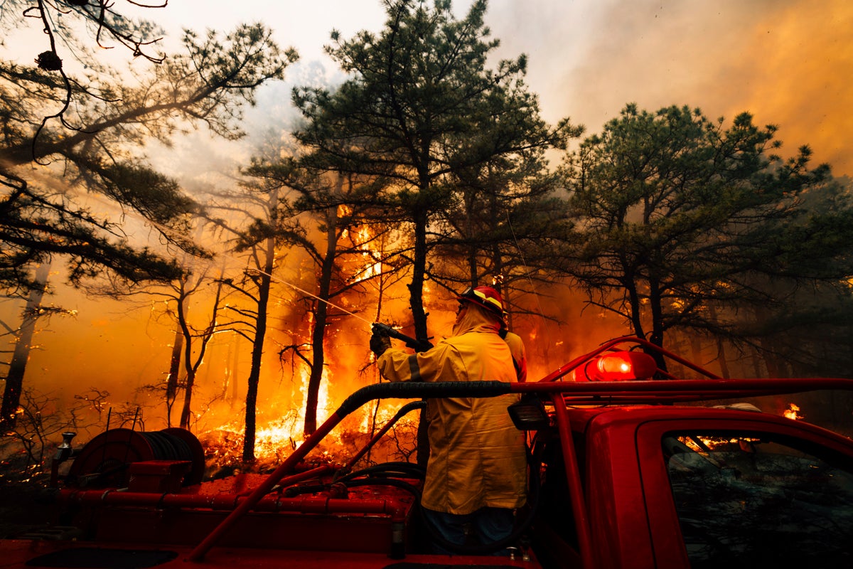 Second person charged with arson in New Jersey Pine Barrens fire