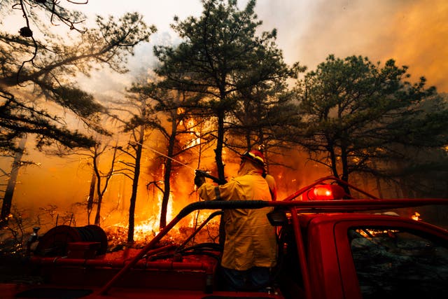 Wildfire-New-Jersey