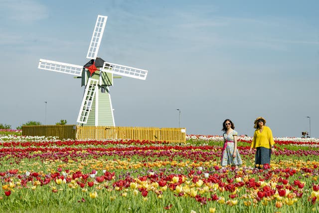 Temperatures will be down from last week’s highs but will creep back up as the week progresses (Danny Lawson/PA)