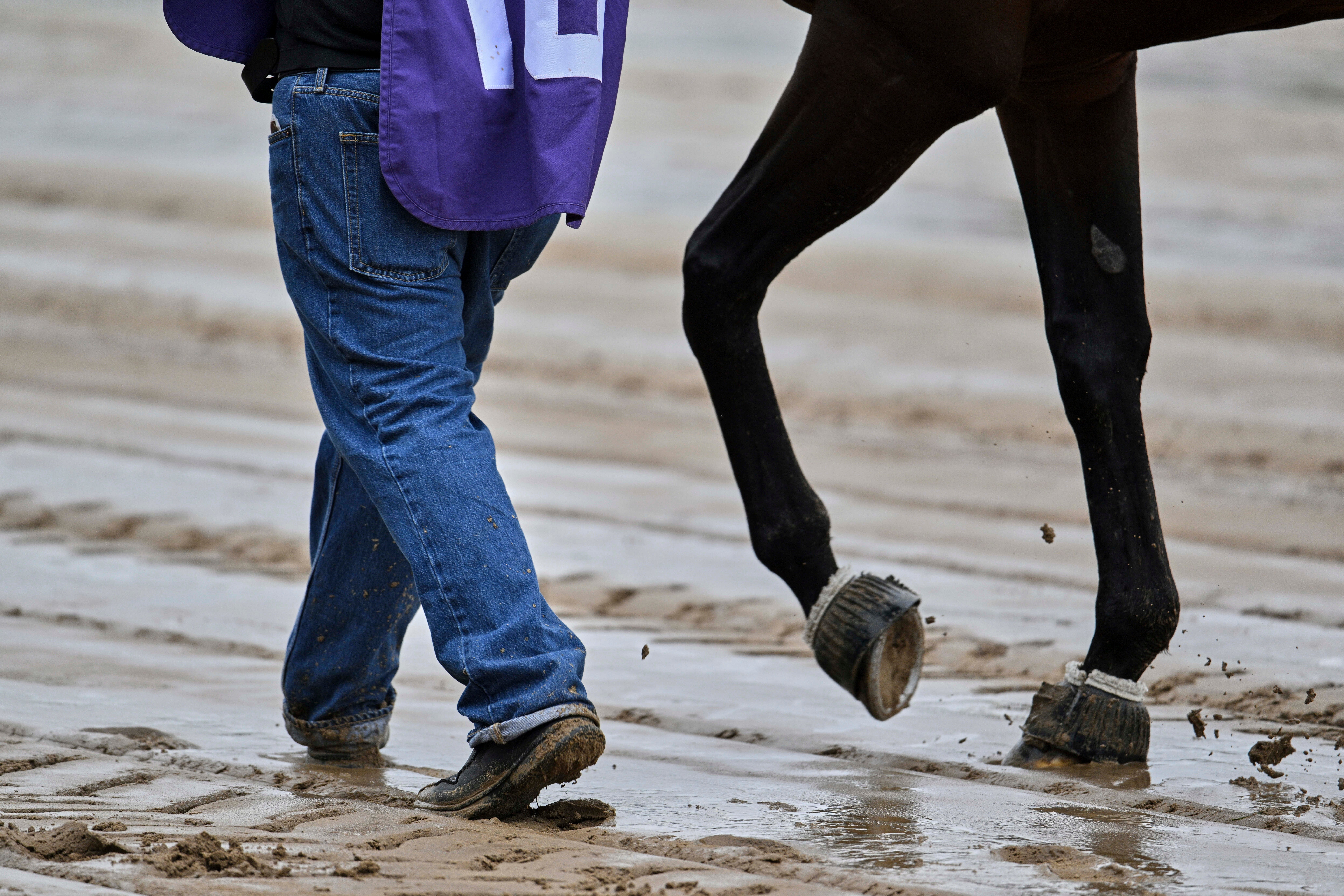 Kentucky Derby Horse Racing