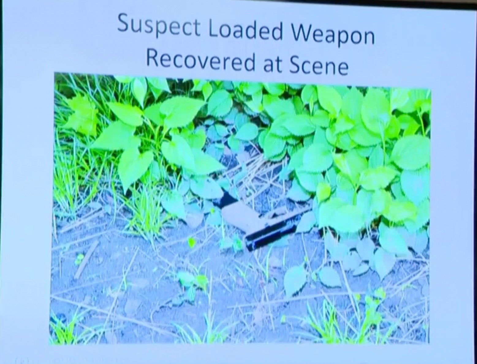 A photo of the weapon recovered by the scene, which was presented at a briefing for police news