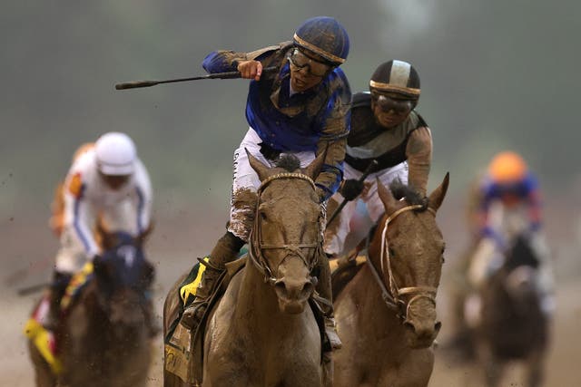 <p>Jockey Junior Alvarado celebrates atop of Sovereignty #18 after winning the 151st running of the Kentucky Derby at Churchill Downs on May 03, 2025 in Louisville, Kentucky</p>