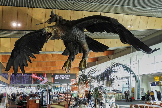 <p>A sculpture of an eagle from the Hobbit films, ridden by the wizard Gandalf, hangs over the food court area of Wellington Airport, in Wellington, New Zealand, Monday, May 5, 2025. (AP Photo/Charlotte Graham-McLay)</p>