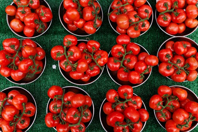 <p>Tomatoes have been recalled due to possible salmonella</p>