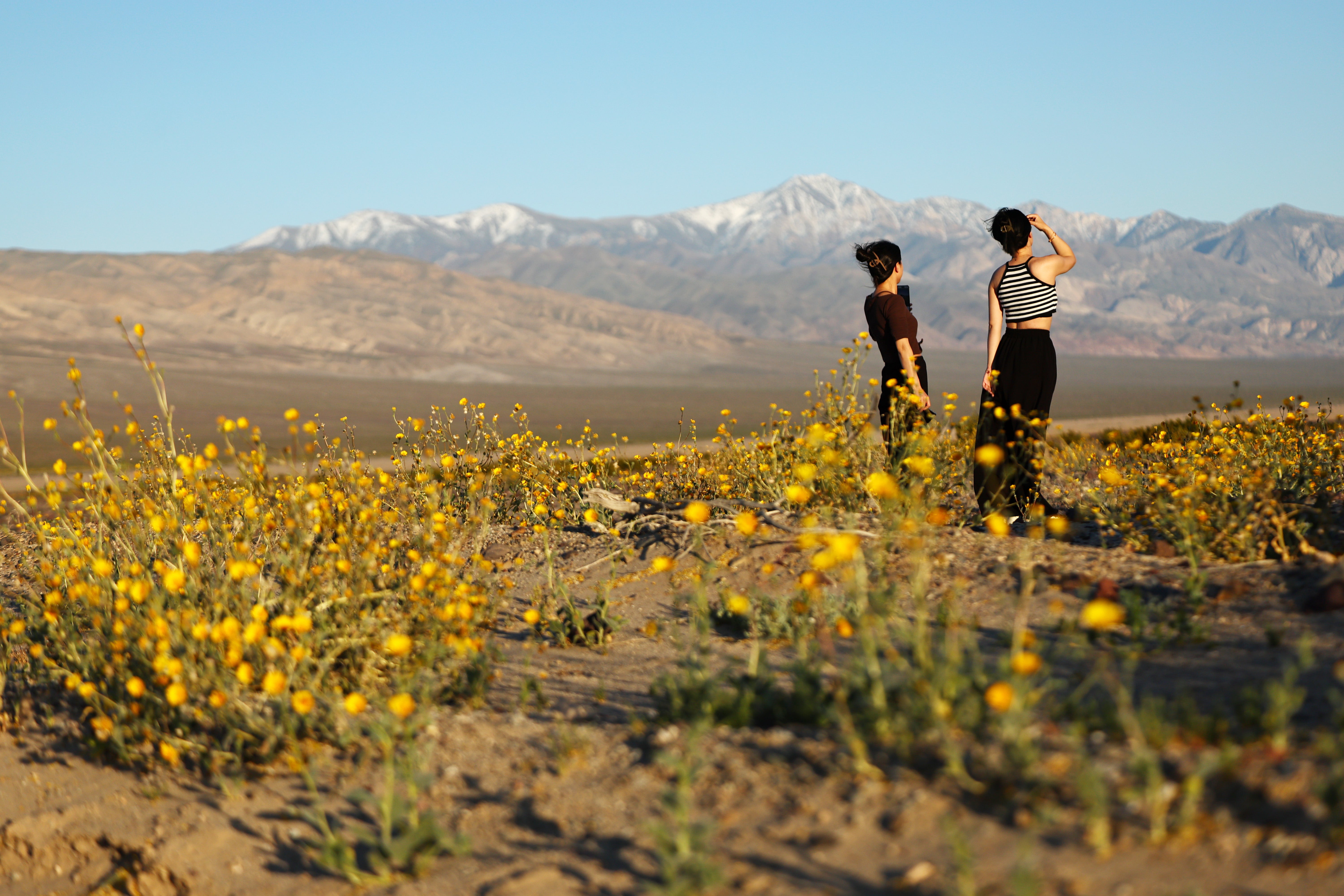 The White House’s budget request would transfer a ‘large number’ of National Park Service sites to state management. But, states are already struggling to fund their parks