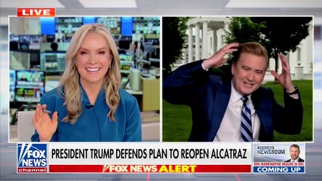 <p>Fox News White House correspondent Peter Doocy was attacked by a bird during a live on-air report for the second time in a month.</p>