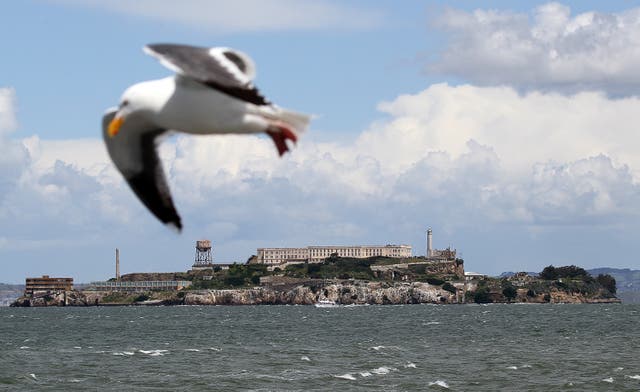 <p>President Donald Trump is moving to reopen one of the nation’s worst prisons. But Alcatraz is already occupied — by seabirds</p>