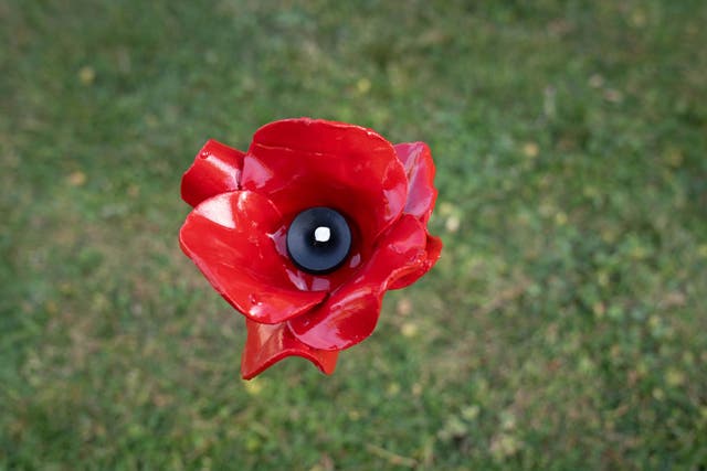 A first poppy is installed by Chief Yeoman Warder, Rob Fuller at the Tower of London which will form part of a larger display throughout the London landmark to mark the 80th anniversary of Victory in Europe (Stefan Rousseau/PA)