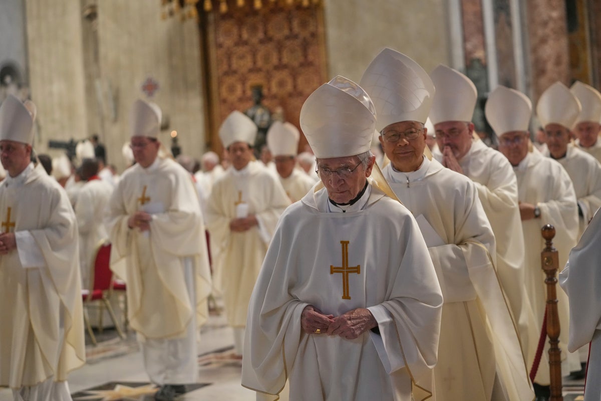Beyond a possible Asian or African pope, what are the priorities of the cardinals in the conclave?