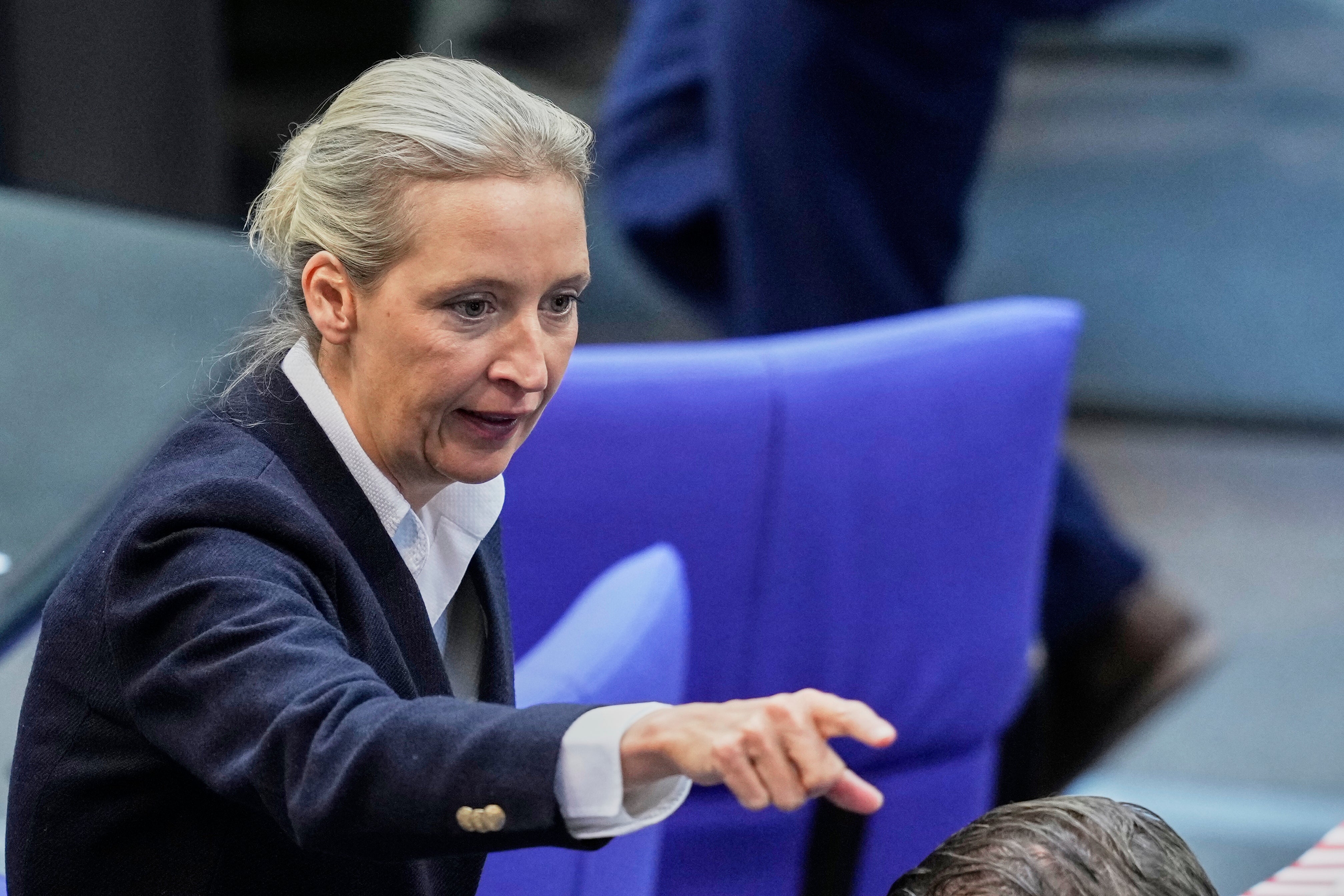 AFD Leader Alice Weidel