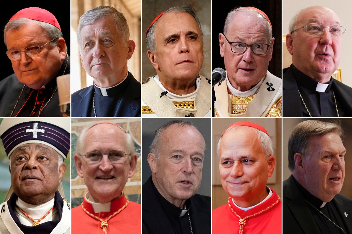 Who are the US cardinals who will vote for the next pope? There are 10, the largest bloc after Italy